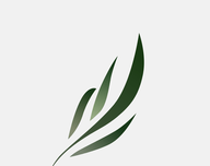 东南小说logo图