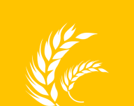 麦穗小说logo图
