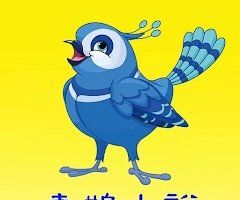 喜鹊小说logo图