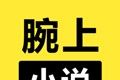 腕上小说logo图