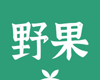 野果阅读