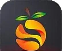 南果视频播放器