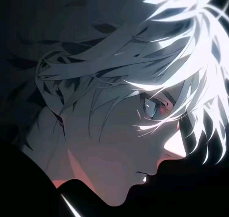 故来美化助手图标