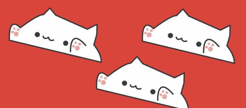 bongo
