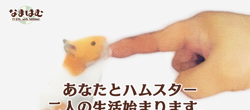 云仓鼠