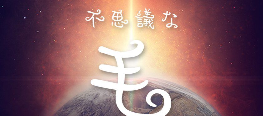 不可思议的毛