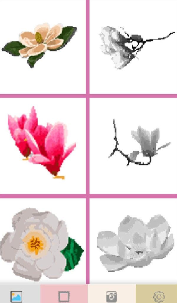 玉兰花像素艺术