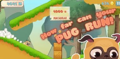 Pug