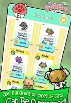 猫咪星球便便
