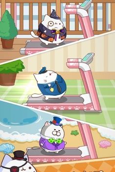 肥猫快跑
