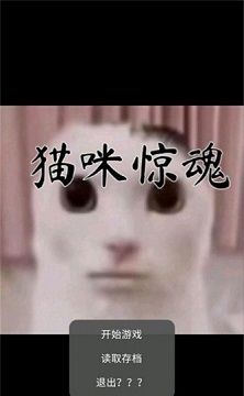 猫猫惊魂