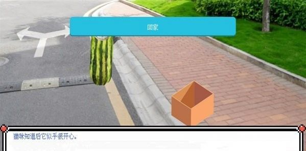 西瓜人派对