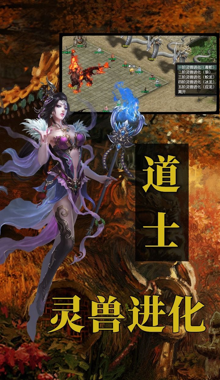 传世龙途