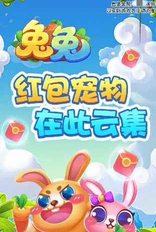 兔兔庄园