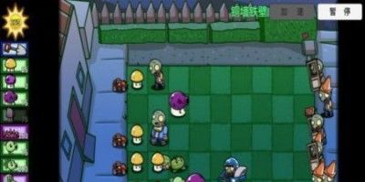 pvzbw