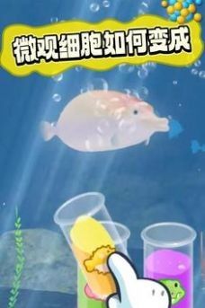生命进化