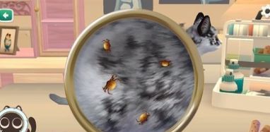 猫咪救援故事