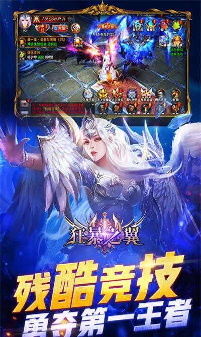 狂暴之翼