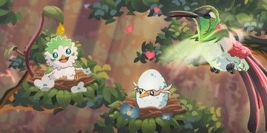 鸟类世界