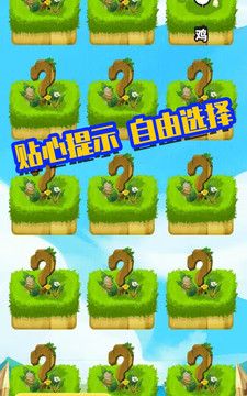 萌宠集会