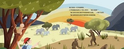 人类的故事