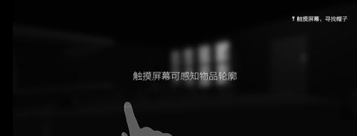 见