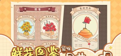 遇见你的花