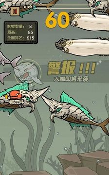 鲨鱼大作战