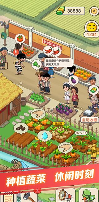 有机菜市场