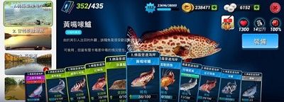 钓鱼冲突