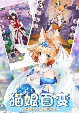 宠物女友
