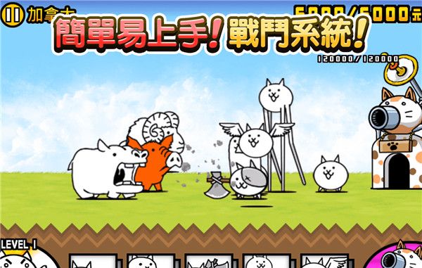 猫咪大作战