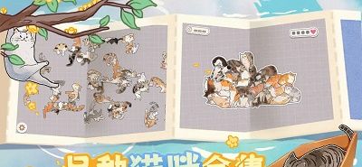挤在一起的猫猫