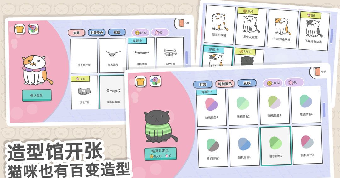 主播和猫的故事