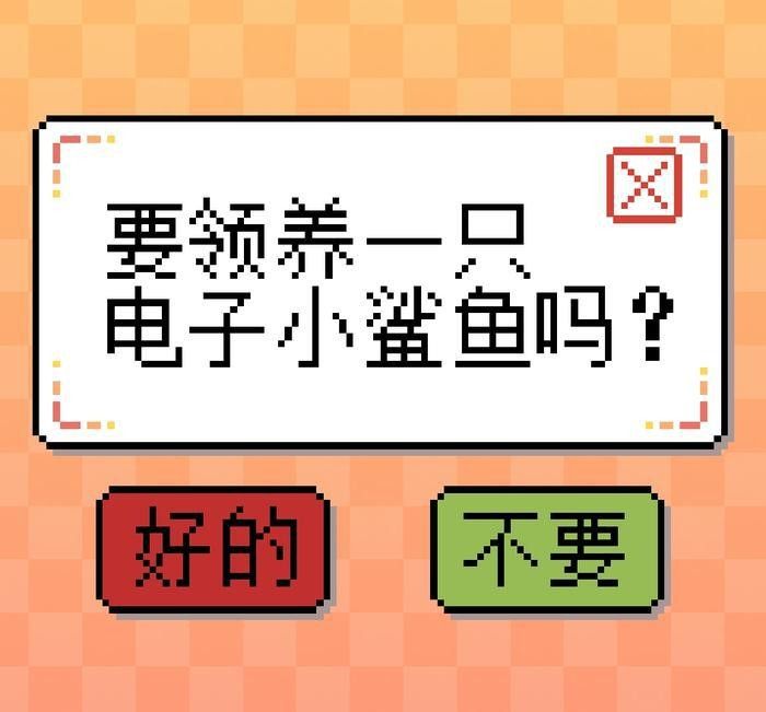 领养可爱小鲨鱼