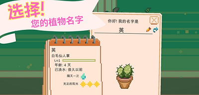 窗边花园