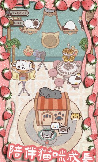 开心猫舍
