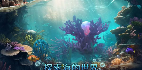 小小水世界