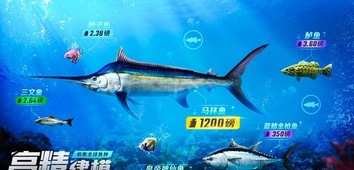 欢乐钓鱼