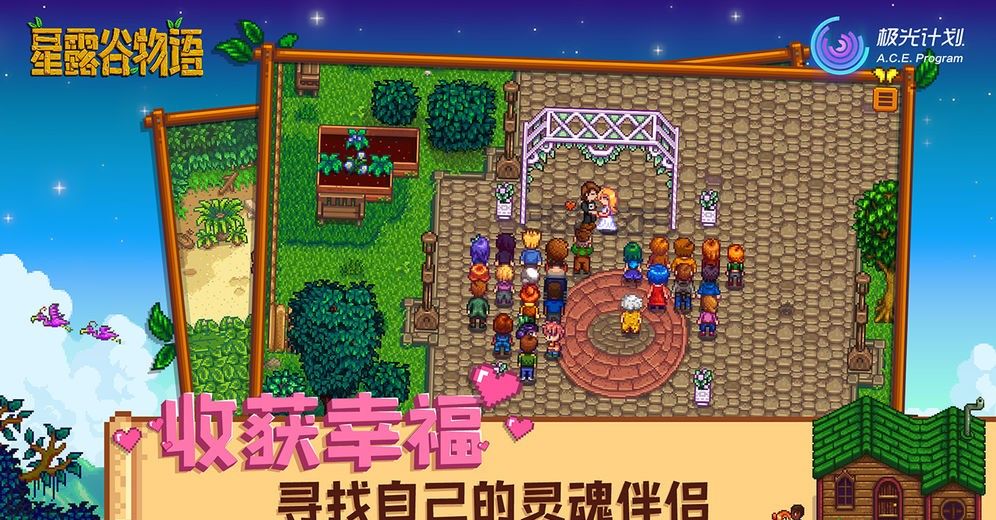 Stardew