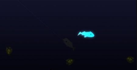 主播同款小猫钓鱼游戏