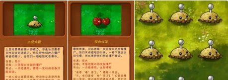 pvz二战版