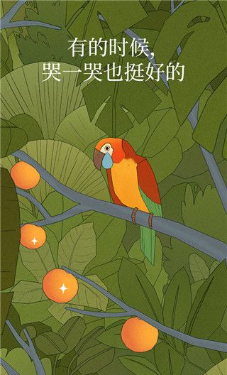 孤独的鸟儿