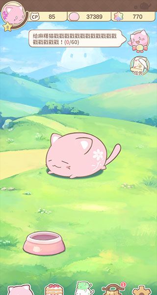 麻糬猫收藏