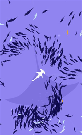 深海鱼群