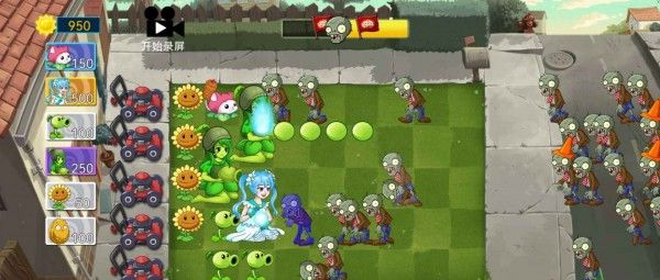 植物大战僵尸进化版