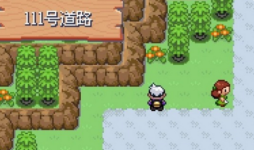 口袋妖怪：漆黑的魅影