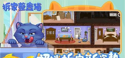 拆家整蛊猫
