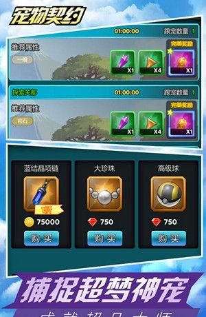 宠物契约