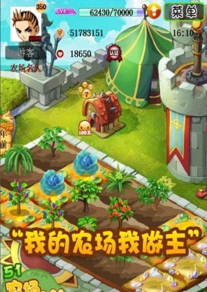农场主的梦想小镇